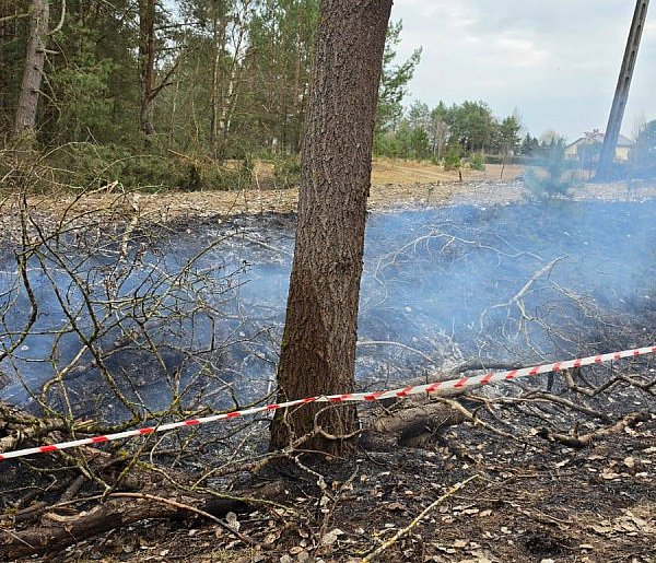 Drzewo przewróciło się na linię energetyczną