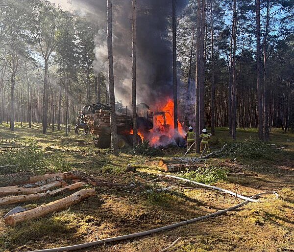 Ogień w lesie. Zapalił się forwarder