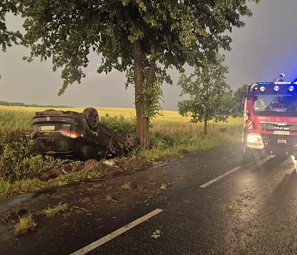 Wypadł z drogi i dachował