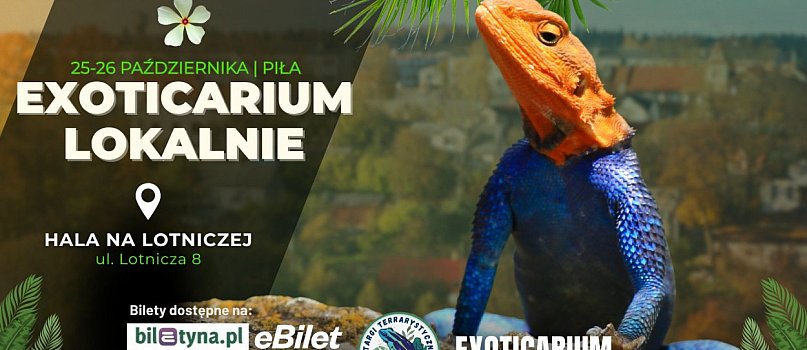 Targi Terrarystyczne Exoticarium Lokalnie-3947