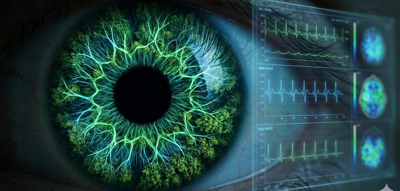 Ciche epidemie Północnej Wielkopolski. Od "leśnej klątwy" po choroby oczu