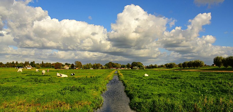 2,5 mln zł na spółki wodne w Wielkopolsce