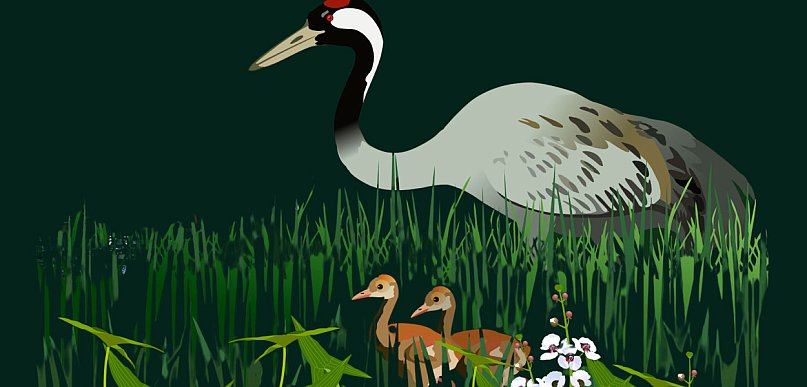 Zwierzęta z ceramiki i w użytkowej grafice