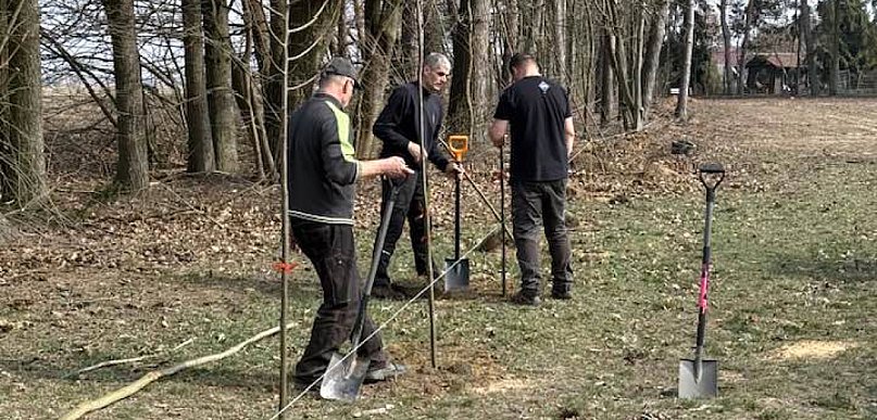 Boisko w Brzostowie upiększy lipowa aleja
