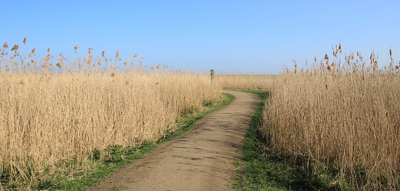 Rozdysponowano pieniądze na drogi do gruntów rolnych. Ile dostały gminy?