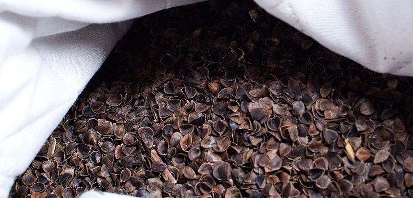 Jakie korzyści wiążą się z używaniem poduszki wypełnionej łuską gryczaną?