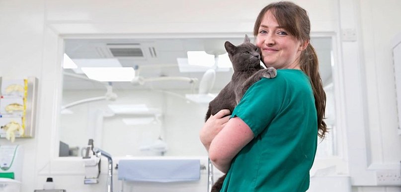 Weterynarz – jak zacząć naukę w Ramus?