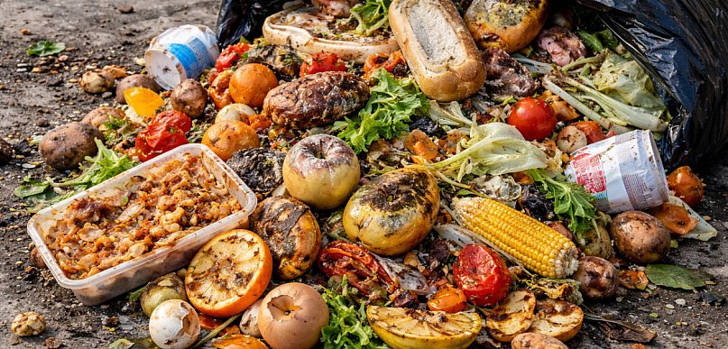 IOŚ: przeciętna polska rodzina wyrzuca 165 kg żywności rocznie