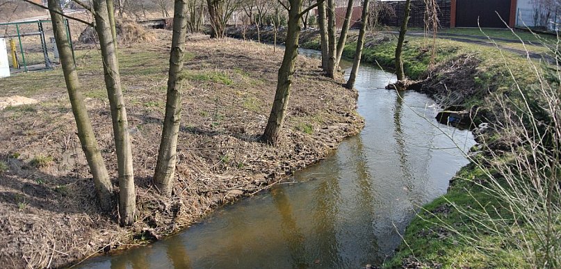 W Białośliwiu posprzątają nie tylko Białośliwkę