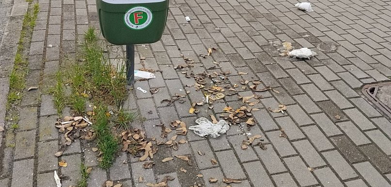 W końcu same zgniją? Tak ktoś pozbywa się obierek po ziemniakach