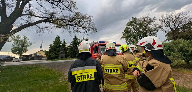 "Nie zatrzymujcie się pod drzewami!". Pierwsza ofiara niebezpiecznych gąsienic