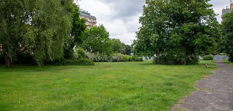 Piła. Największy trawnik w mieście (wreszcie) przejdzie do historii