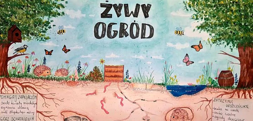 Wyróżnienie dla uczennicy pilskiej Budowlanki