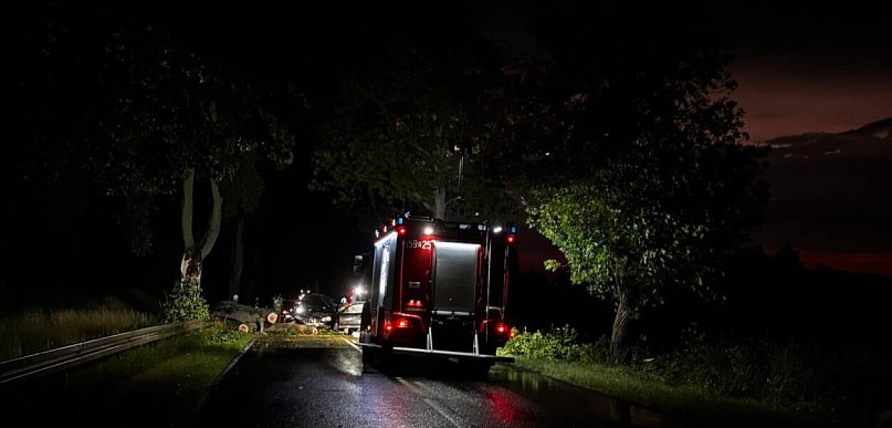 Zderzył się z powalonym na drogę drzewem