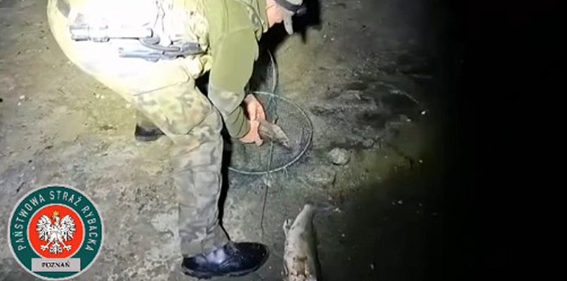Kłusował nocą na jeziorze Kopcze. Zdążył wyciągnąć 40 kilogramów ryb! - 43234