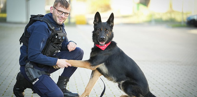 Pilnie potrzebna była psia krew! Niko oddał ją dla innego psa - 44031