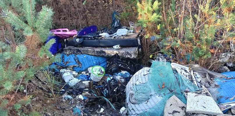 Piękny Plecemin. A obok taki bajzel! - 44567