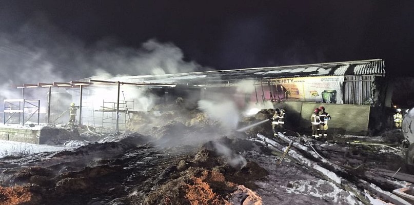 Walczyli z ogniem 5 godzin. Pożar obory w Topoli - 46147