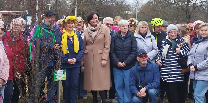 Buk czerwonolistny upamiętnił Jacka Markiewicza