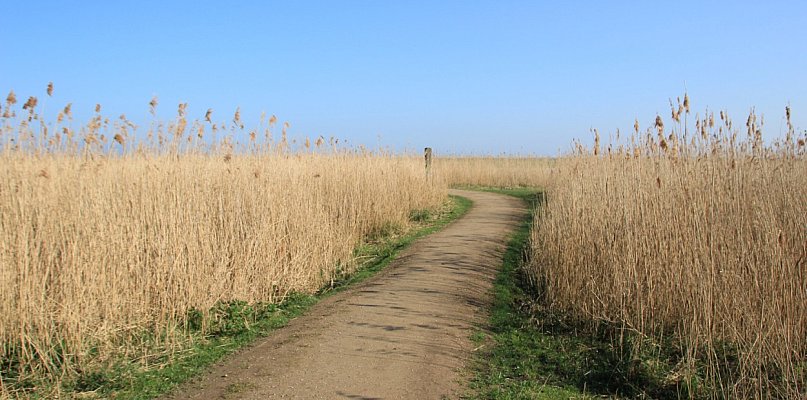 Rozdysponowano pieniądze na drogi do gruntów rolnych. Ile dostały gminy?