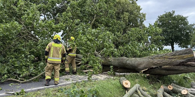 Szamocin: Potężne drzewo zatarasowało drogę nr 190