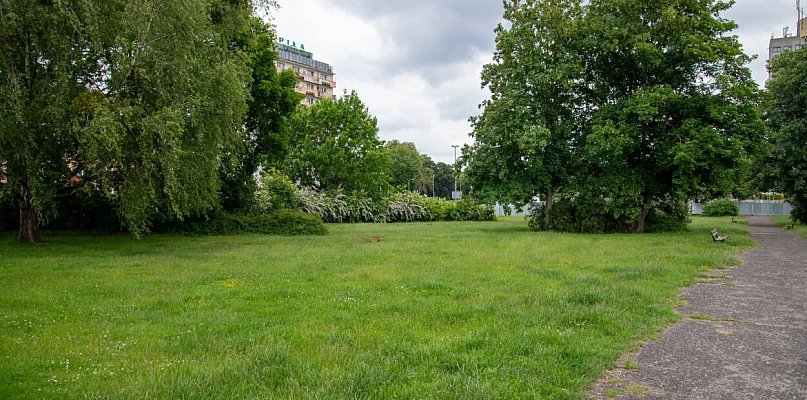 Piła. Największy trawnik w mieście (wreszcie) przejdzie do historii