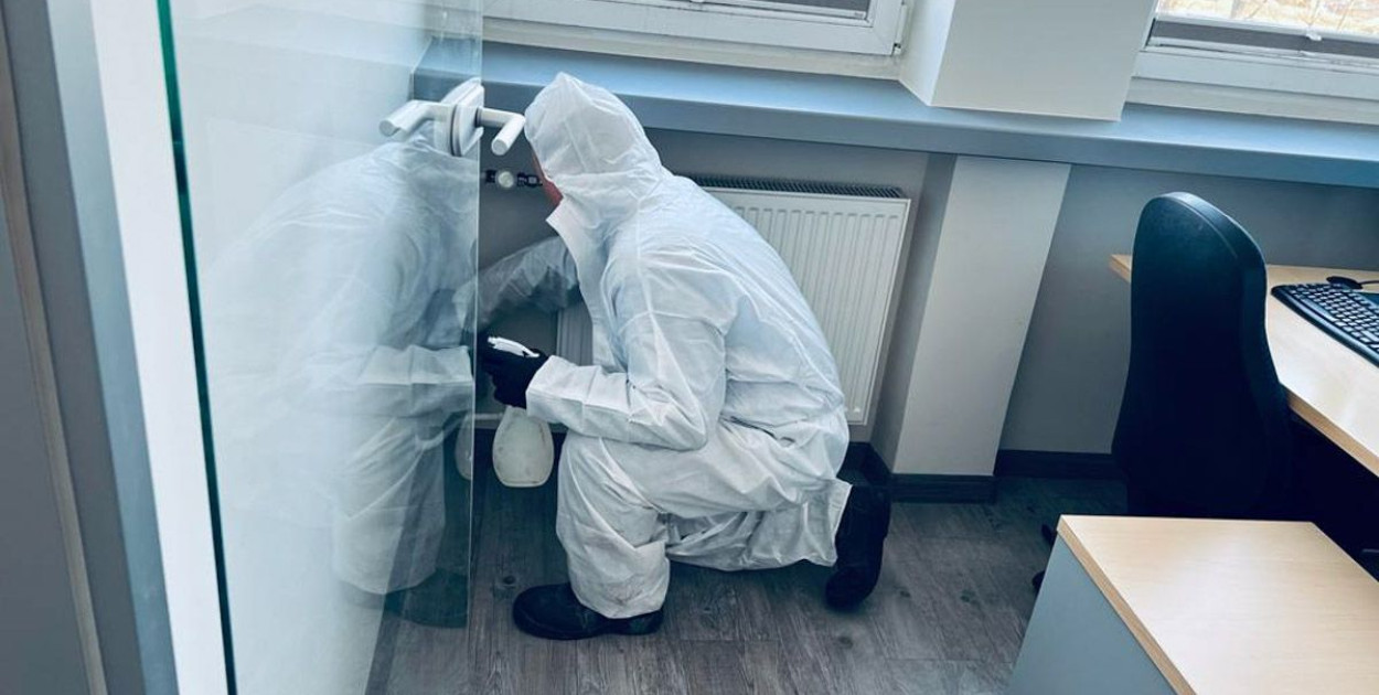 Grzyby jako bioindykatory - co obecność pleśni mówi o środowisku twojego domu?