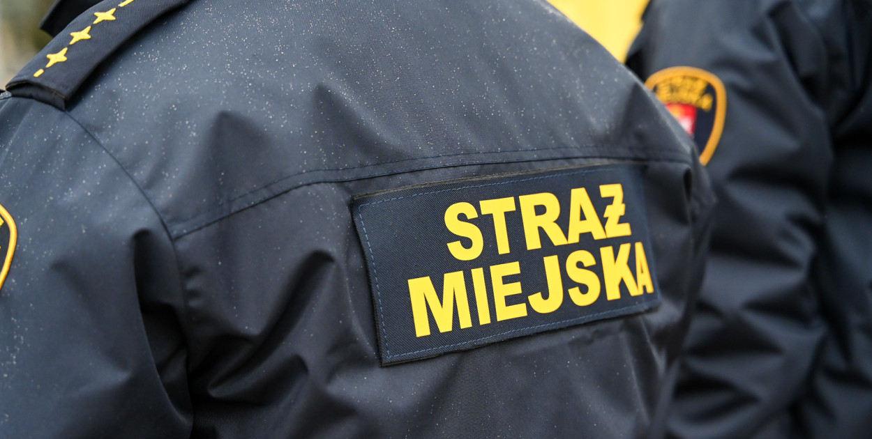 Fot. ddwloclawek.pl / siecportali.pl