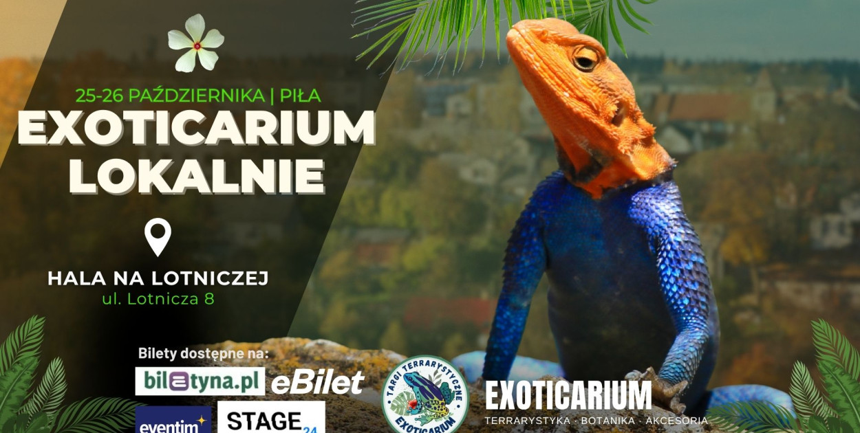 Targi Terrarystyczne Exoticarium Lokalnie