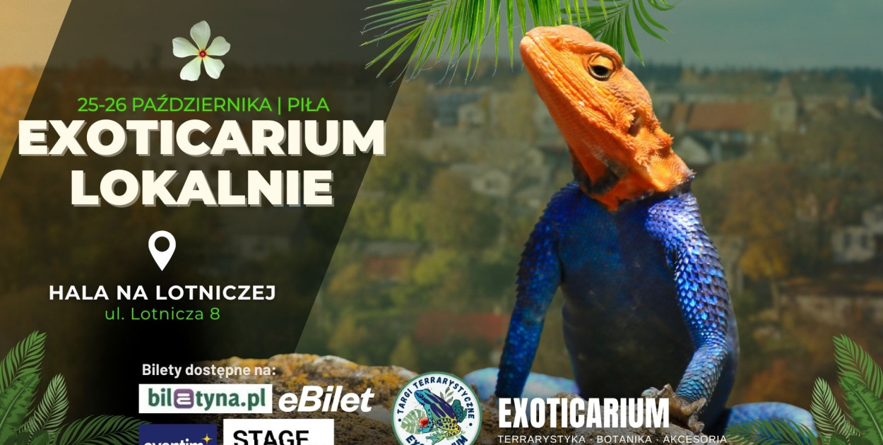 Targi Terrarystyczne Exoticarium Lokalnie