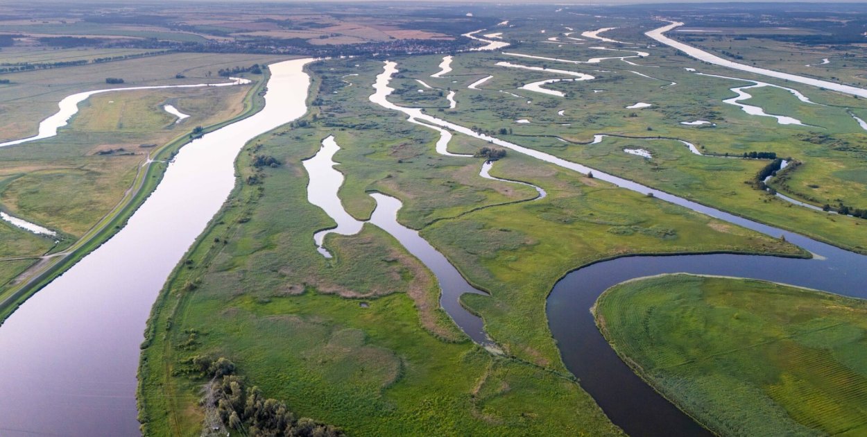 Park Narodowy Doliny Dolnej Odry /Photo Fisher, Facebook