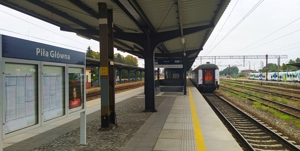 fot. Bartosz Pietrzykowski