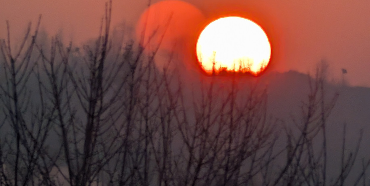 Wystawa fotografii Karoliny Łuszczewskiej w Labiryncie