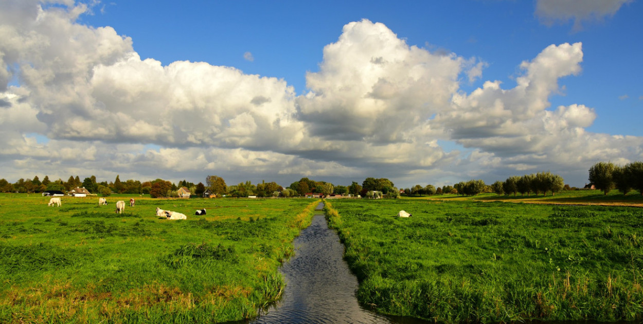 2,5 mln zł na spółki wodne w Wielkopolsce