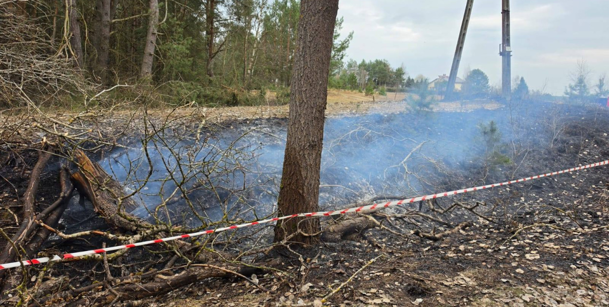 Drzewo przewróciło się na linię energetyczną