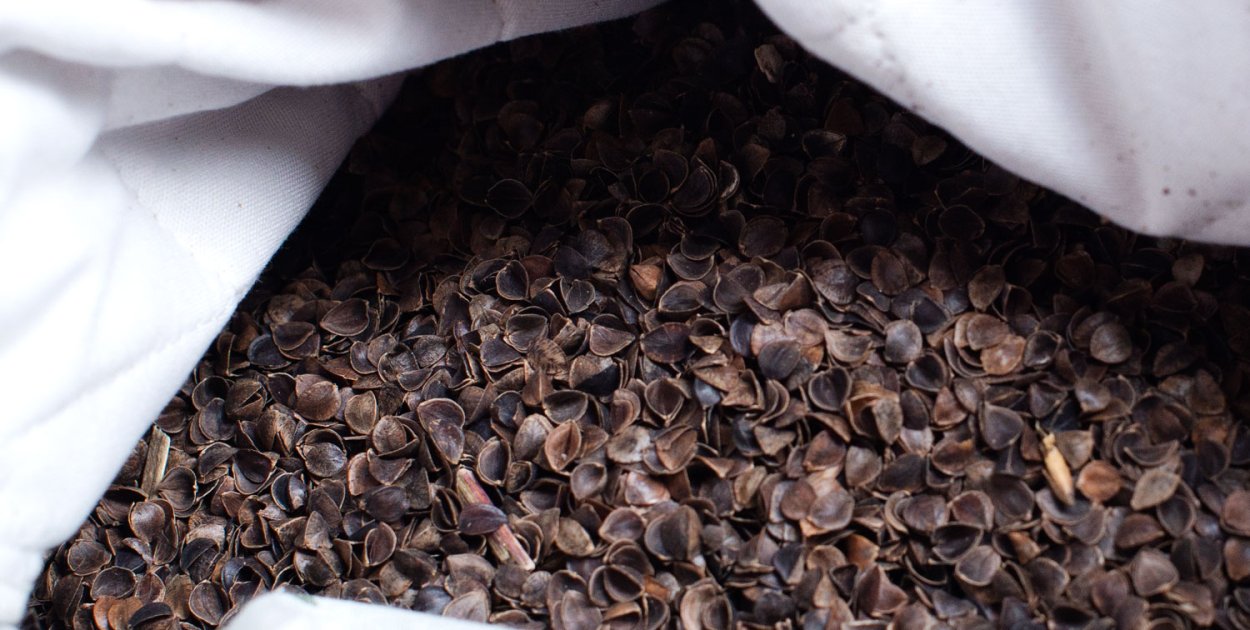 Jakie korzyści wiążą się z używaniem poduszki wypełnionej łuską gryczaną?