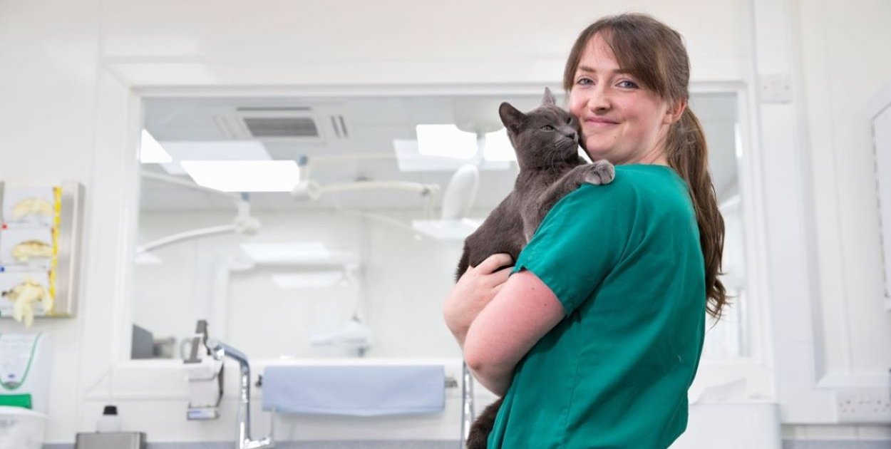 Weterynarz – jak zacząć naukę w Ramus?